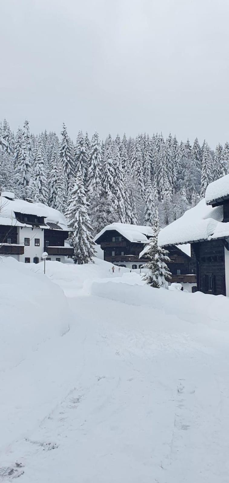 Apartment Martin Sonnenalpe Nassfeld Esterno foto